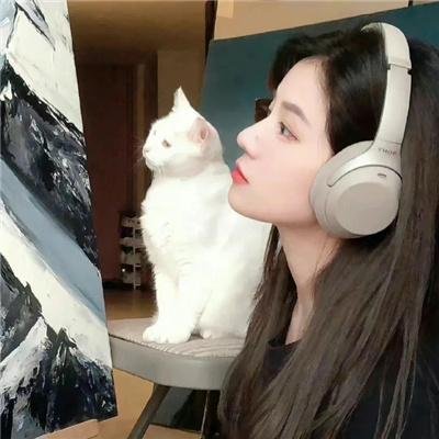 追捕连环杀手第三季